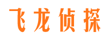 平度侦探